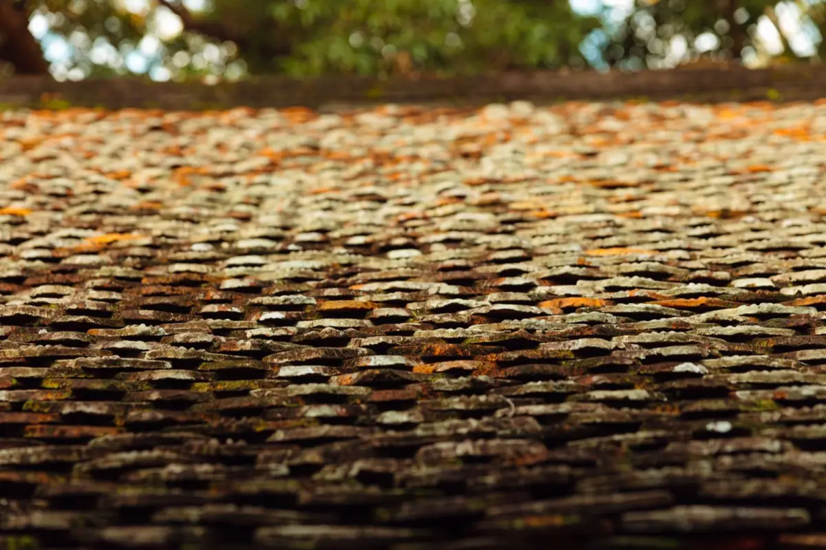 Aging shingle roof with moss growth and granule loss in Oceanside, CA